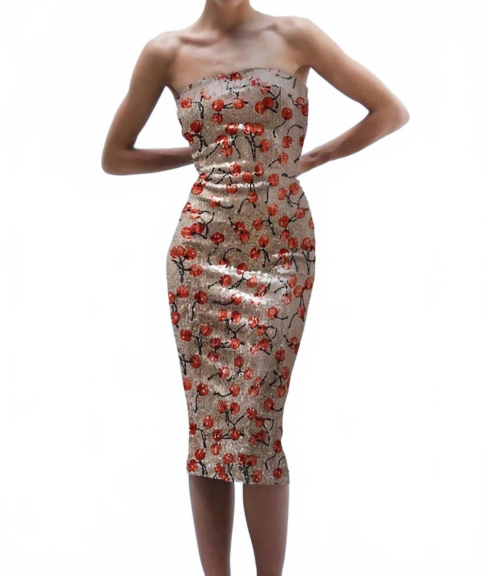NEW LE SUPERBE misfits cherry tube midi dress in bing cherries